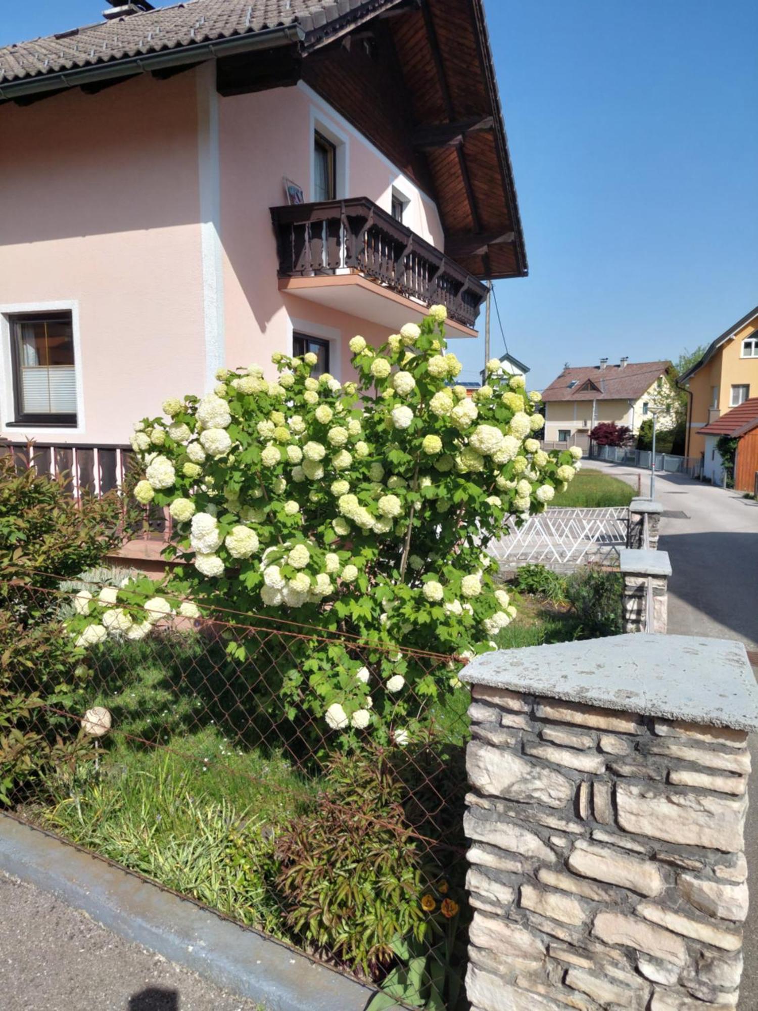 Wohnung Mit Charme In Pinsdorf Esterno foto